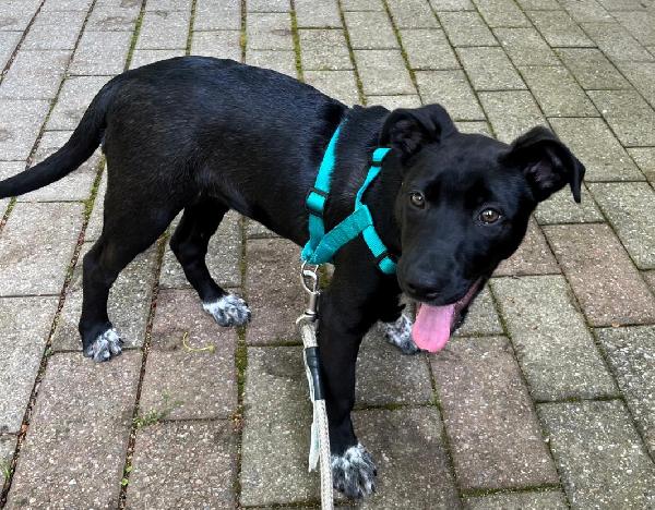 ELETTRA CUCCIOLA STUPENDA Foto 7